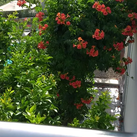 Villa Mira Trogir Trogir