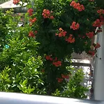 Mira Trogir