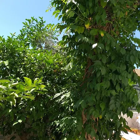 Apartament Mira Trogir
