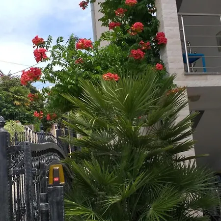 Mira Apartament